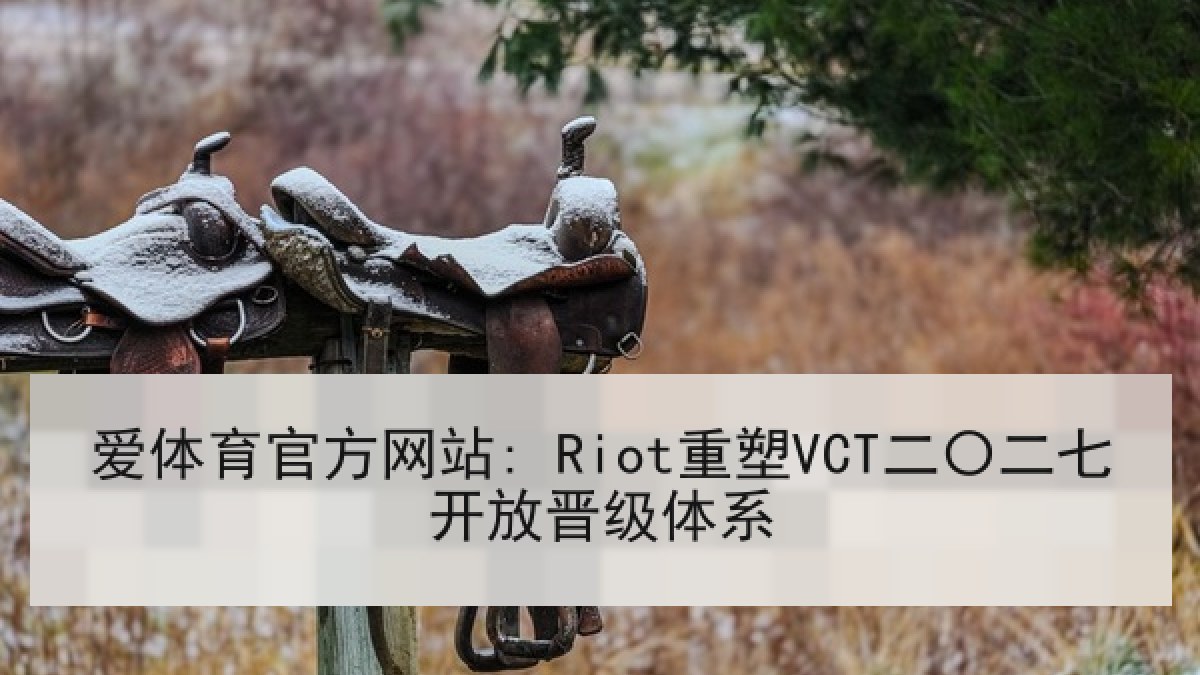 爱体育官方网站: Riot重塑VCT二〇二七开放晋级体系