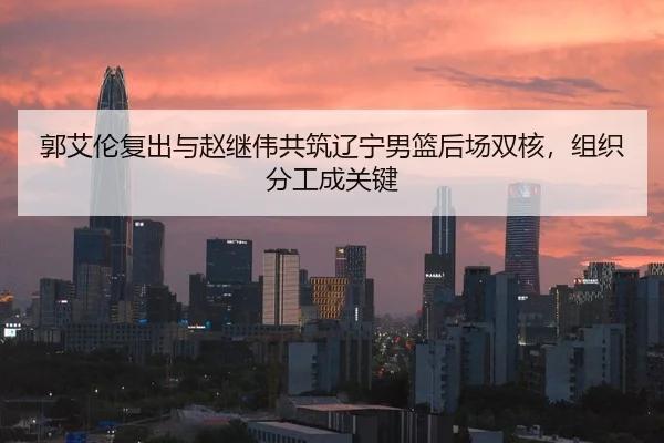 郭艾伦复出与赵继伟共筑辽宁男篮后场双核，组织分工成关键